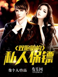 双胞胎的私人保镖