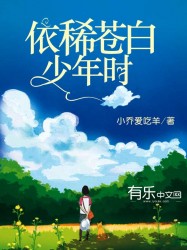 依稀苍白少年时