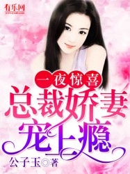 一夜惊喜：总裁娇妻宠上瘾