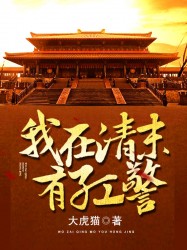 我在清末有红警