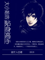 大小姐的贴身高手