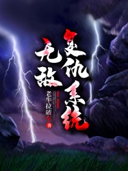 无敌复仇系统