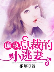 偏执总裁的小逃妻