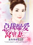 总裁爆爱窝里妻