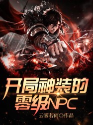 开局神装的零级NPC