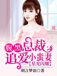 星光闪耀：腹黑总裁追爱小蛮妻