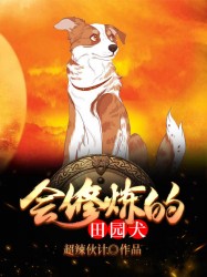 会修炼的田园犬