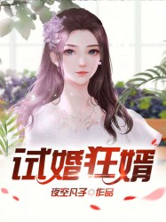 试婚狂婿
