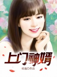 上门神婿
