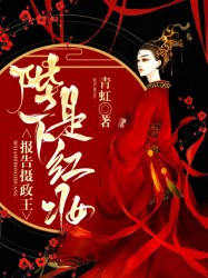 报告摄政王，陛下是红妆