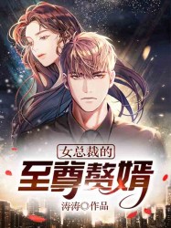 女总裁的至尊赘婿