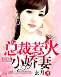 总裁惹火小娇妻