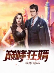 巅峰狂婿