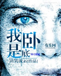 我是卧底