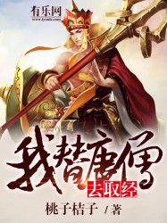 我替唐僧去取经