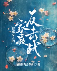 贤惠女人的家庭反击战