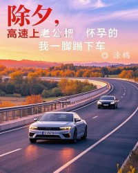 除夕，高速上老公把怀孕的我一脚踢下车