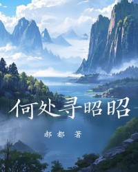 何处寻昭昭