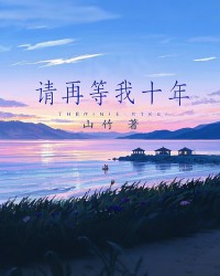 请再等我十年