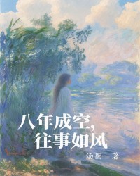 八年成空，往事如风